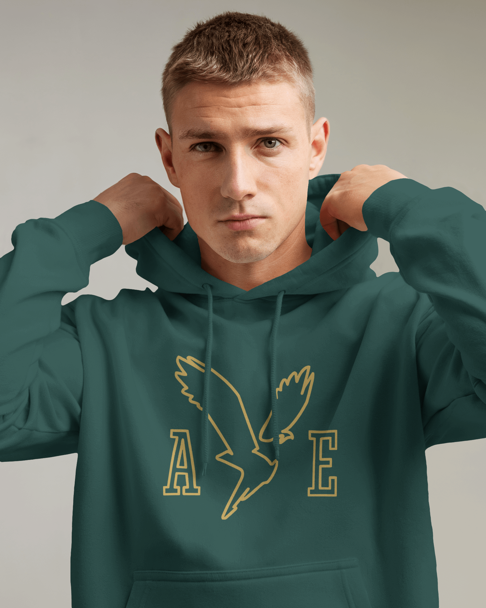 American Eagle Regular Hoodie